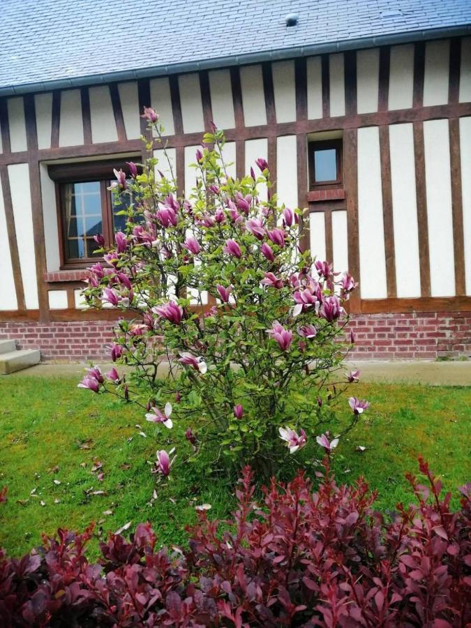 Villa Wijitta à Auquemesnil Extérieur photo